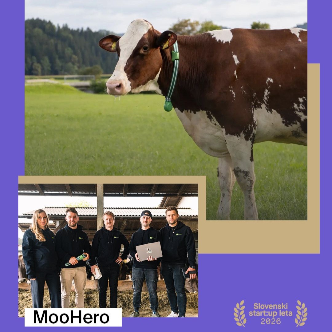 Slovenski start:up leta 2026 je HeroLabs z rešitvijo MooHero – »pametno uro za krave«